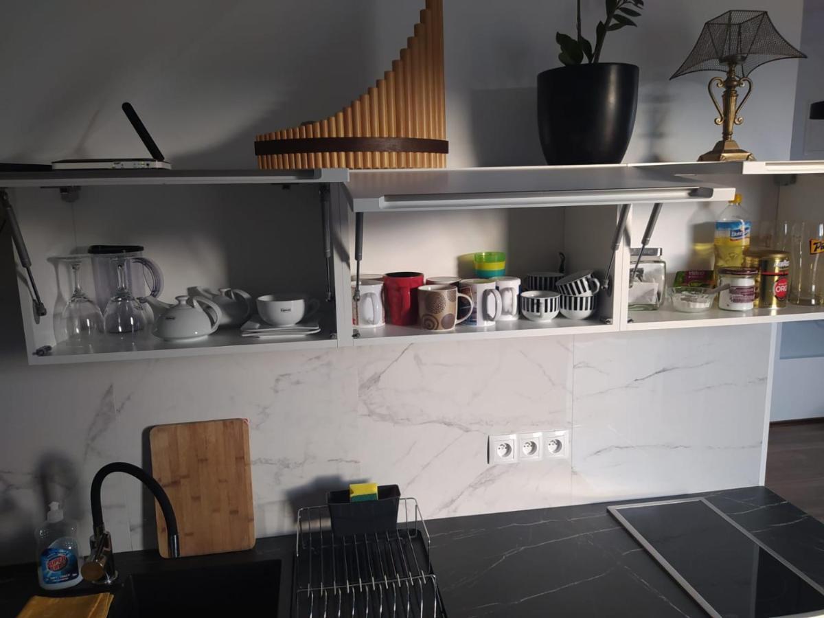 Apartament Muzyczny Jelenia Góra Extérieur photo