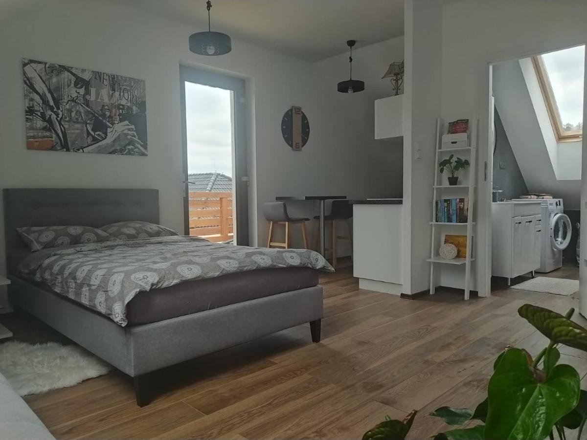 Apartament Muzyczny Jelenia Góra Extérieur photo