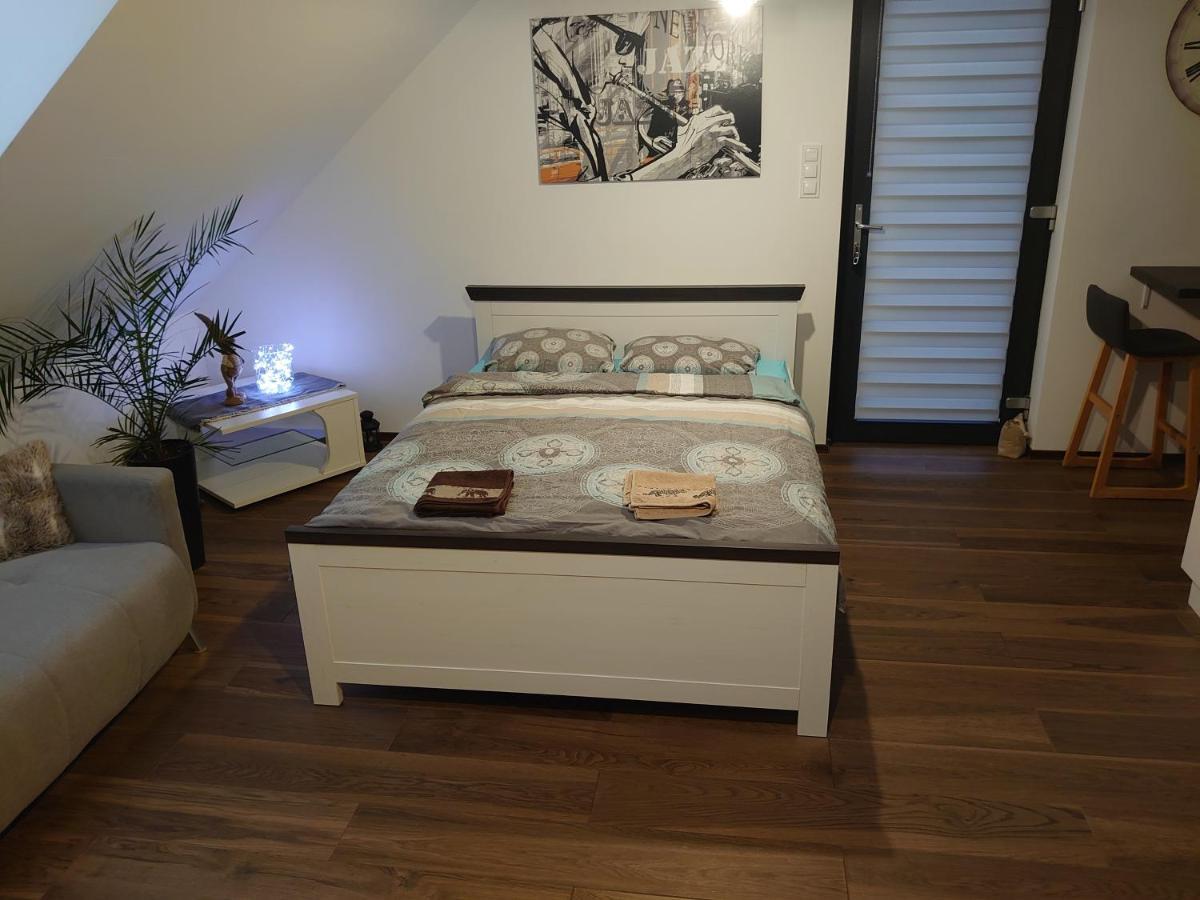 Apartament Muzyczny Jelenia Góra Extérieur photo